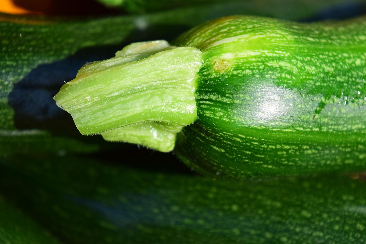 Cukinia