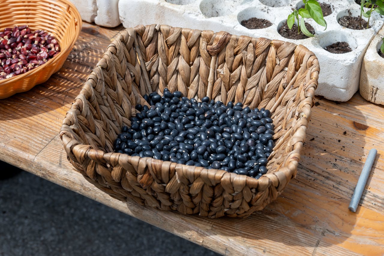Czarna fasola