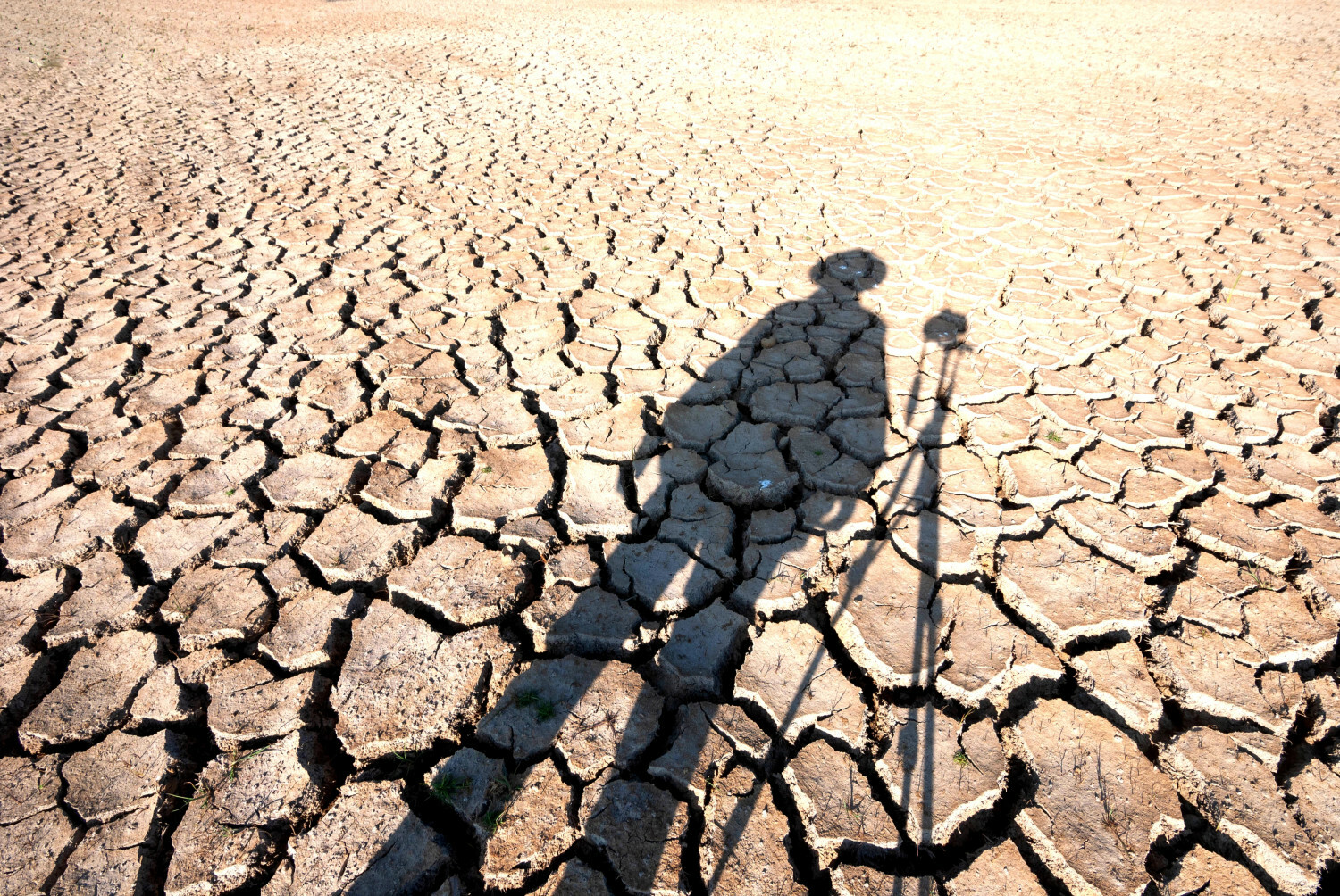 El Nino przyniesie rekordowe upały i susze