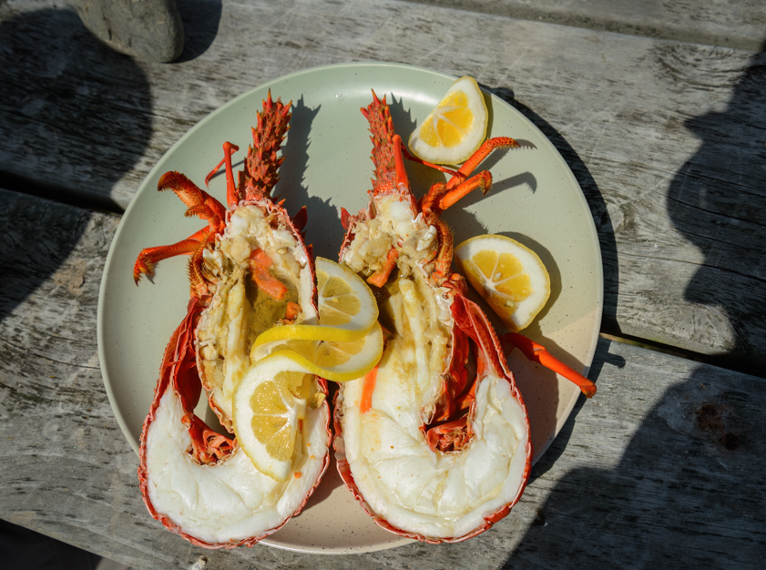 gotowane raki, mięso raka