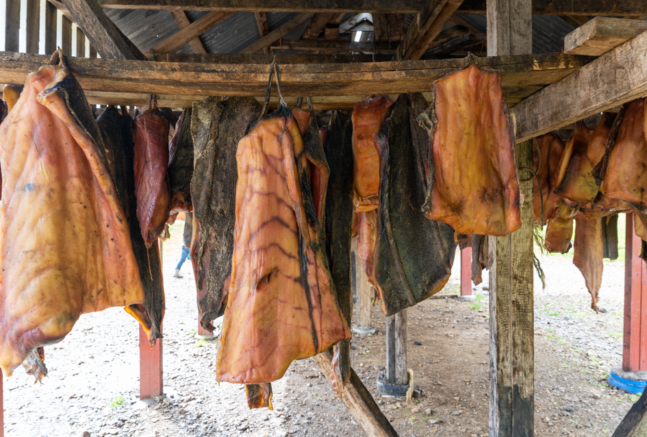 Islandia, fermentowany rekin