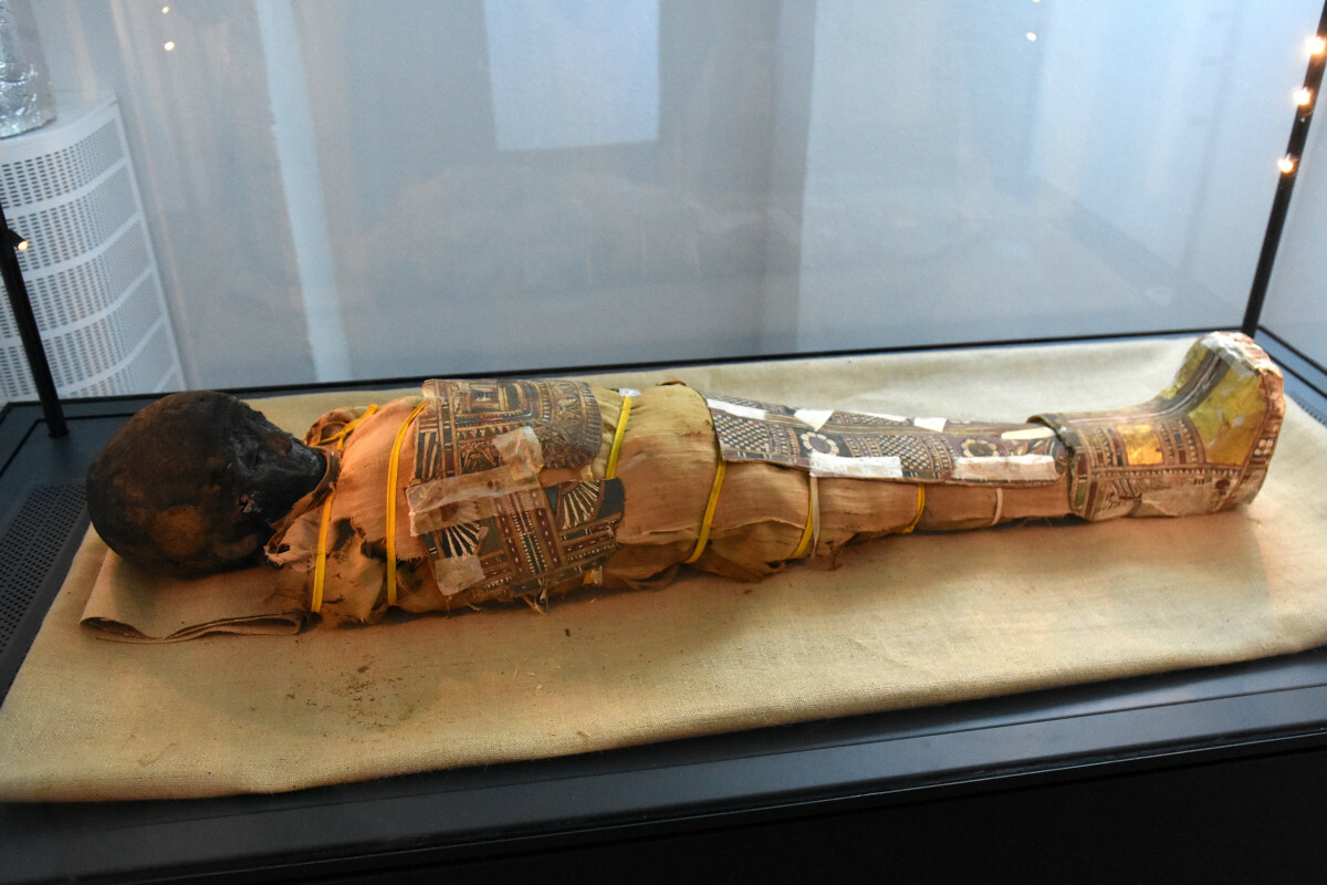 mumia chłopca we Wrocławiu