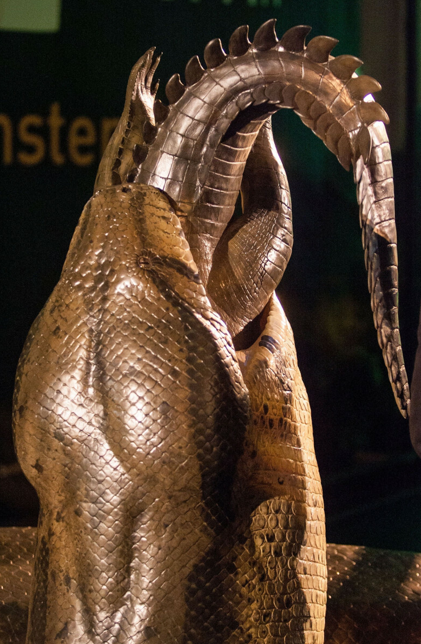 największy wąż titanoboa
