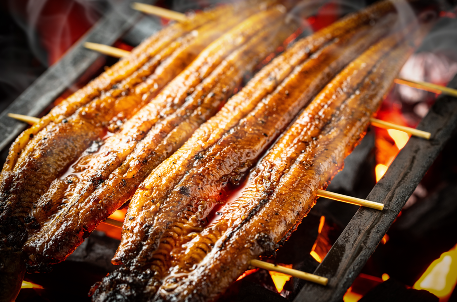 pieczora ryba węgorz