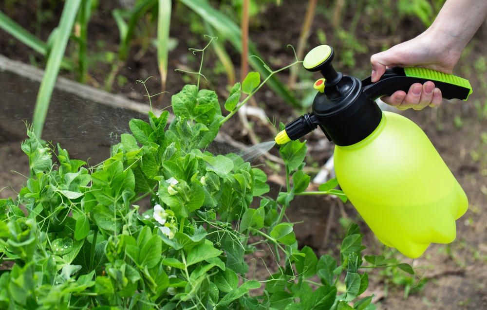 Pryskanie roślin