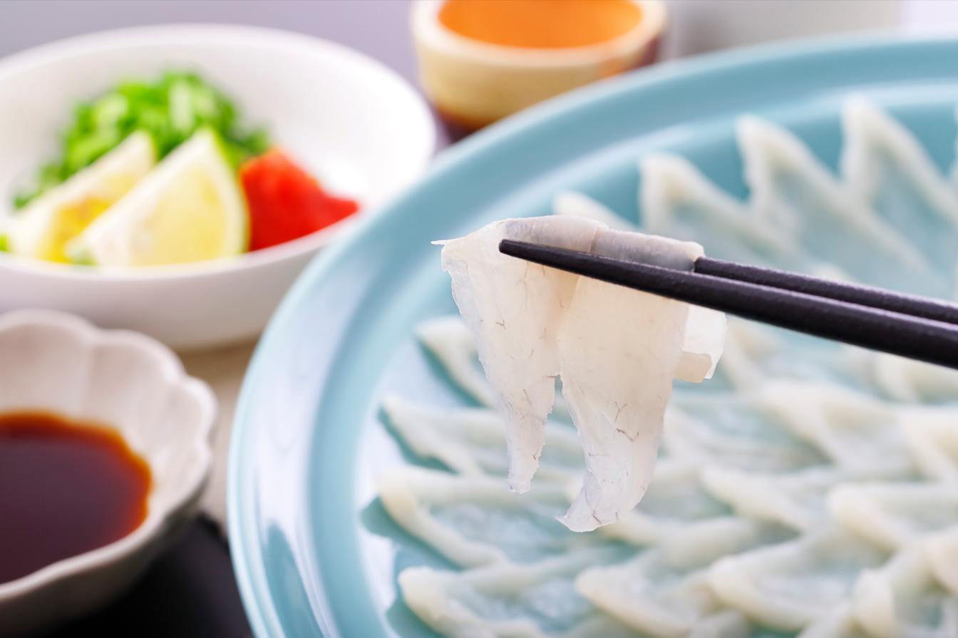 sashimi z ryby fugu