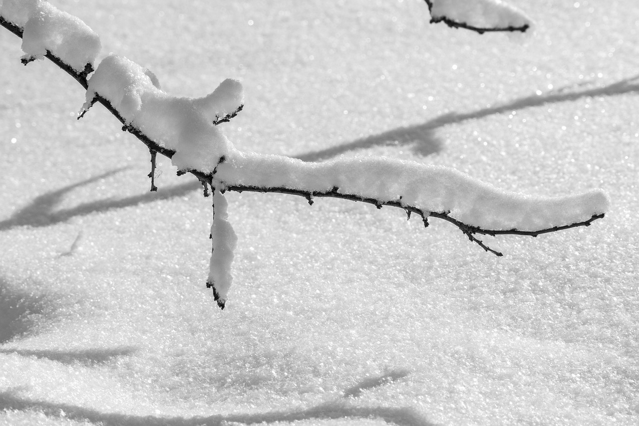 Śnieg, zima