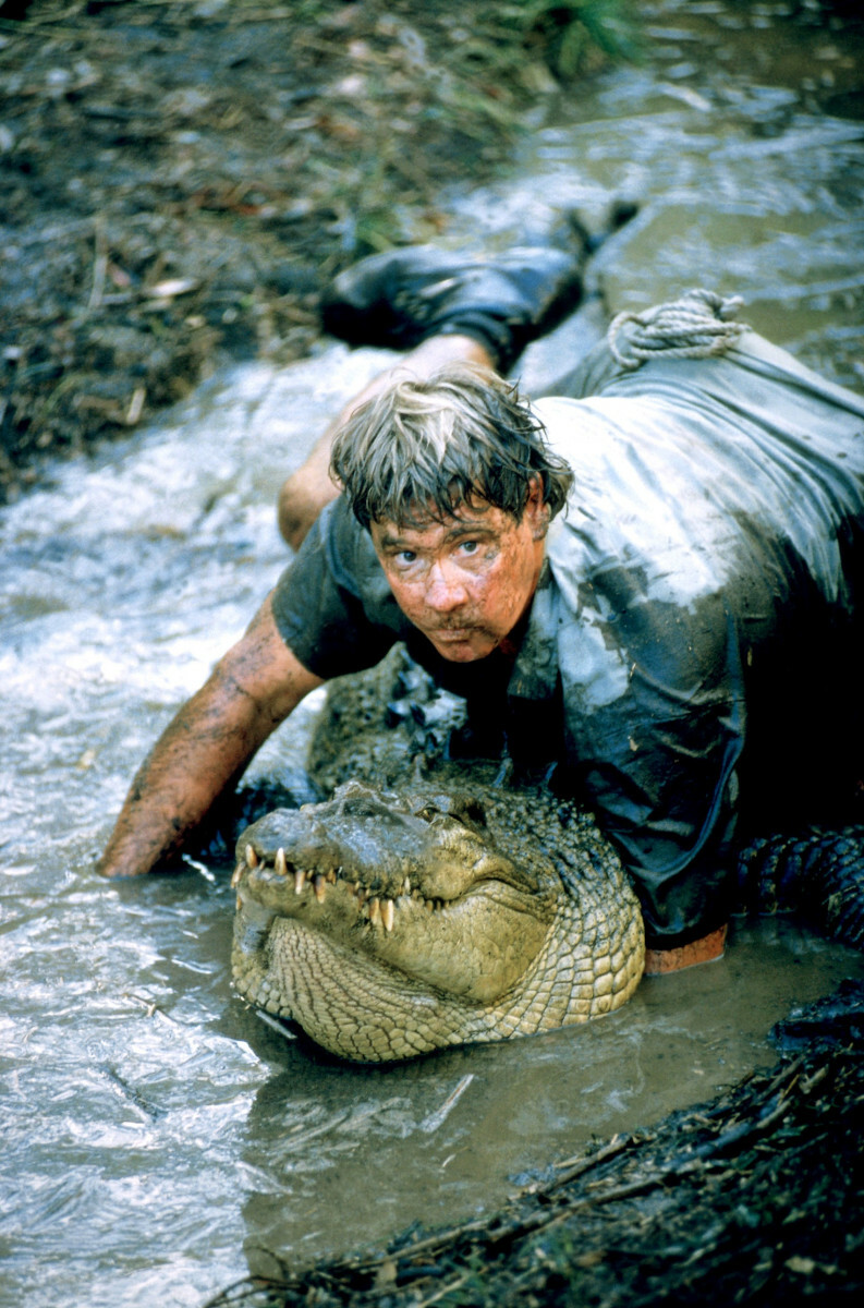 Steve Irwin Łowca Krokodyli