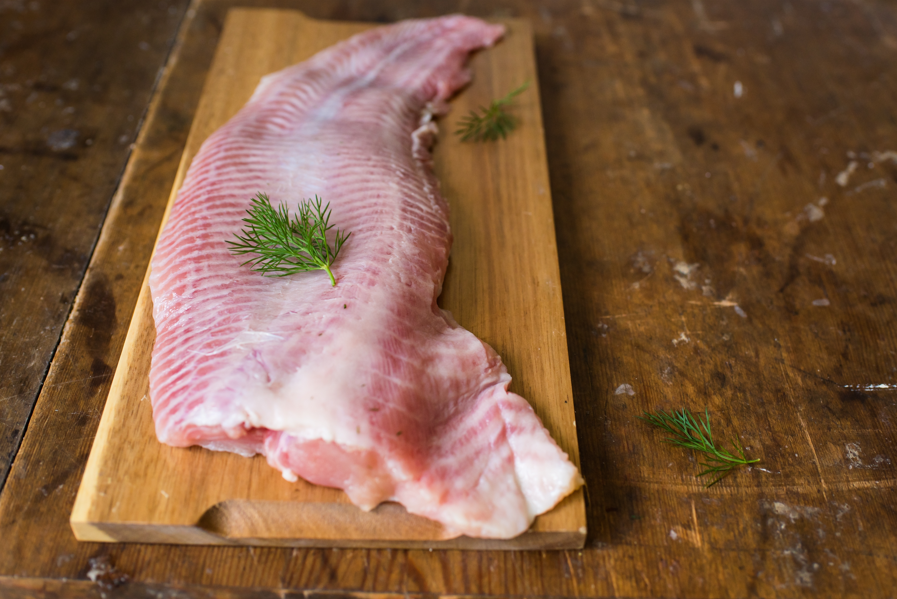 sum zamiast karpia na święta, zdrowa ryba