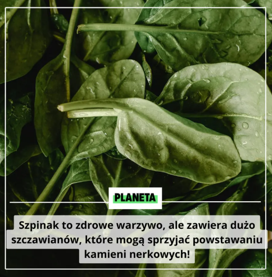 Szpinak w diecie a kamienie nerkowe