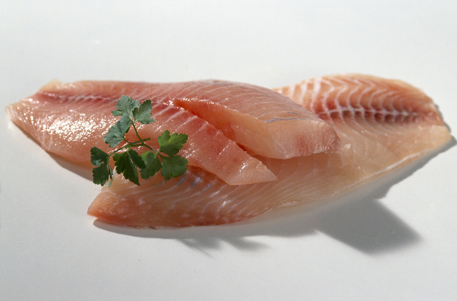 tilapia filet
