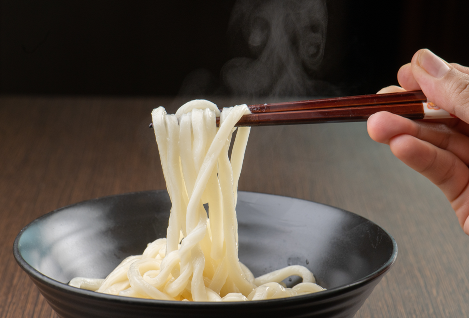 udon noodles