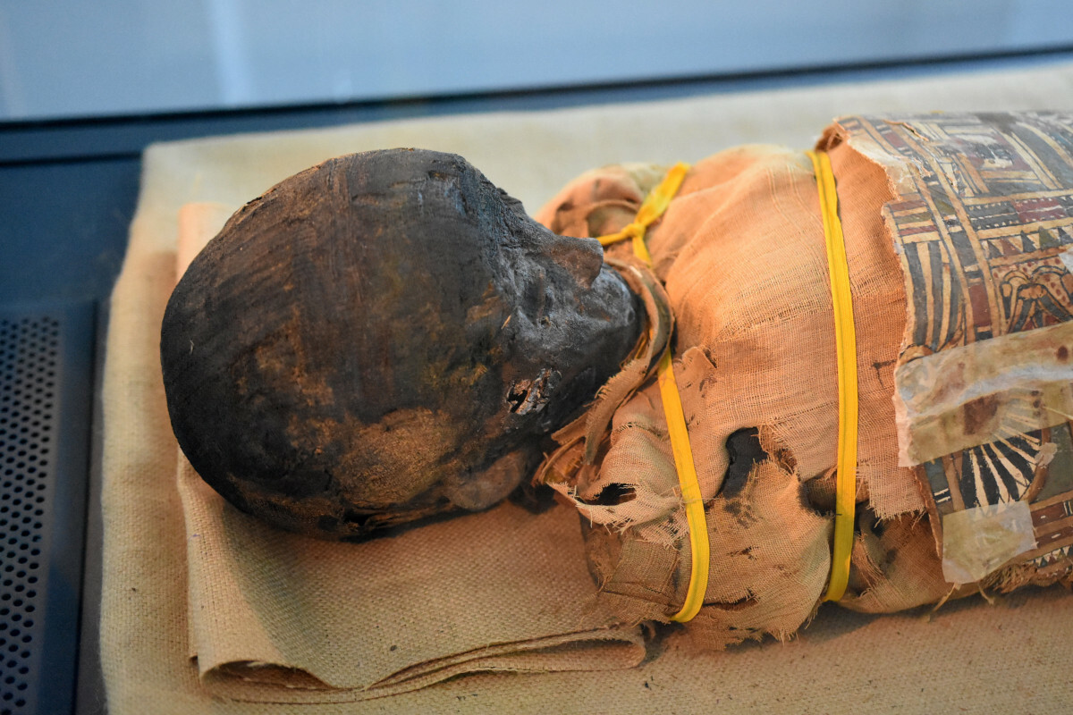 Wrocław, egipska mumia dziecka, Muzeum Archidiecezjalne