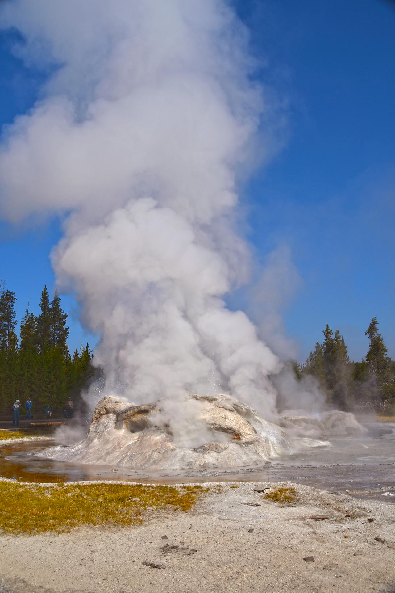Yellowstone National Park