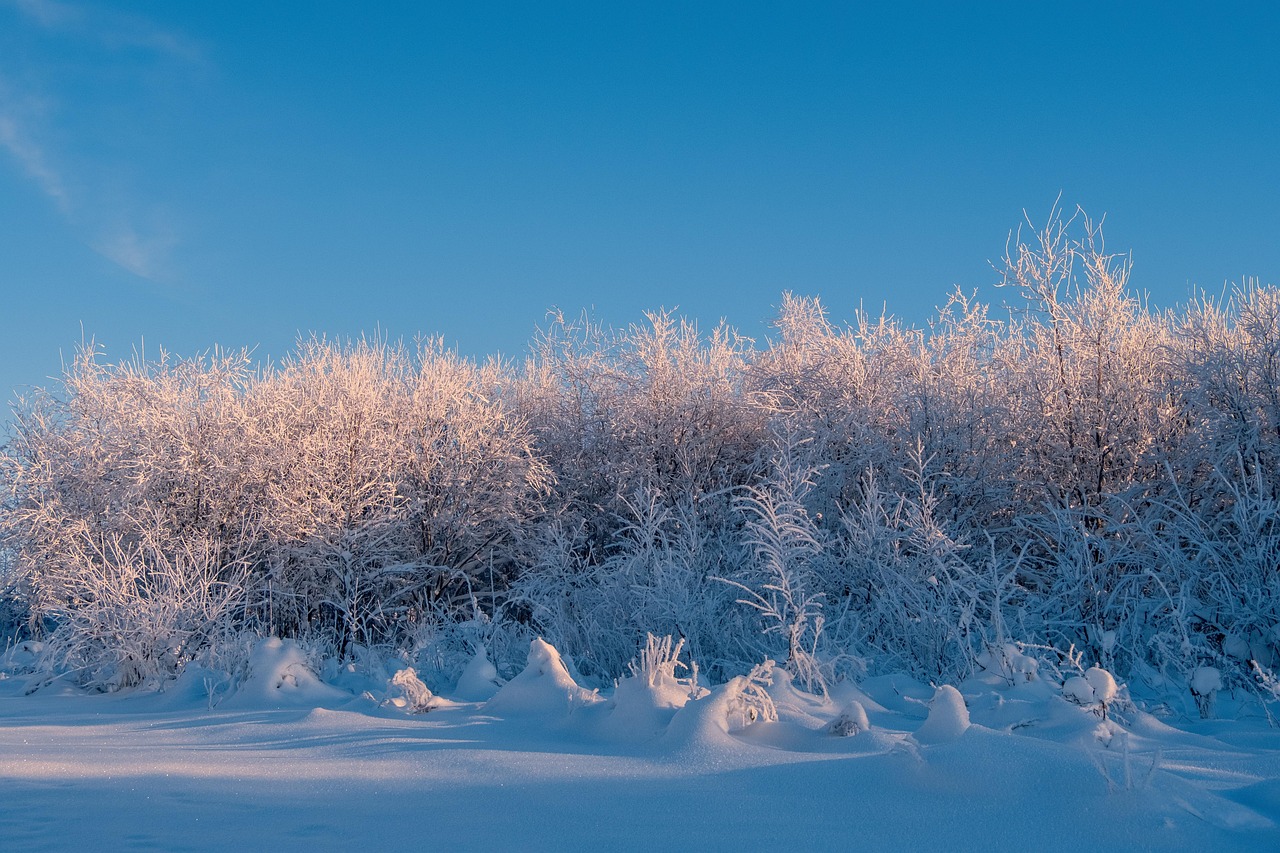 Zima, śnieg