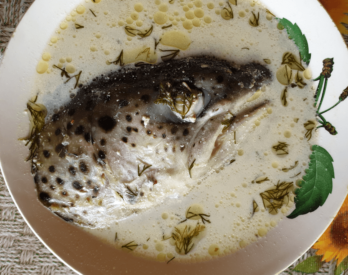 zupa rybna ucha