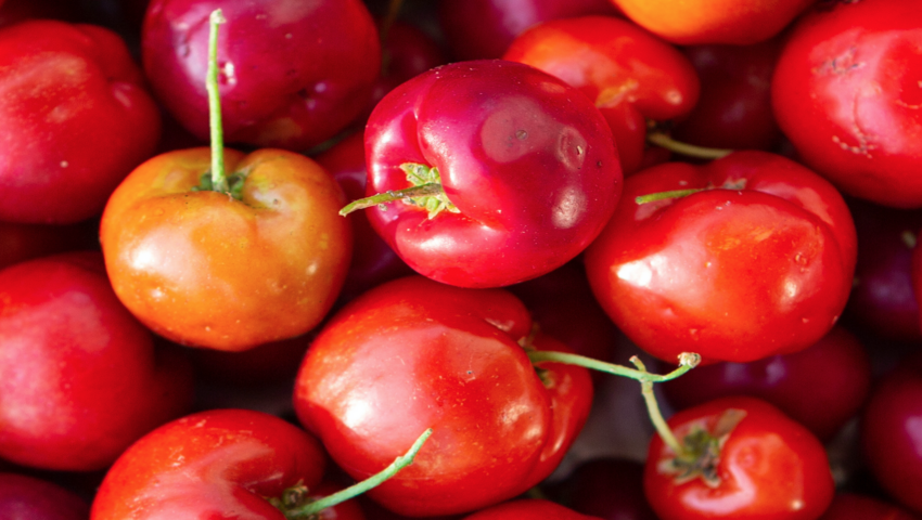 Acerola