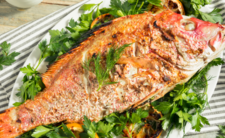 Zdrowa ryba, czerwony lucjan