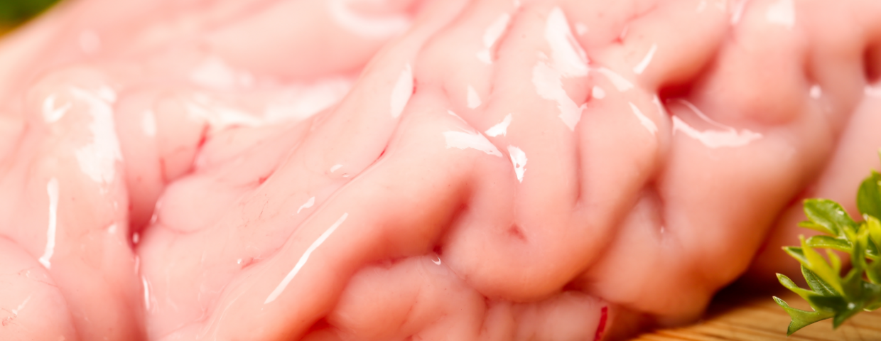 Móżdżek, polska kuchnia i tradycja