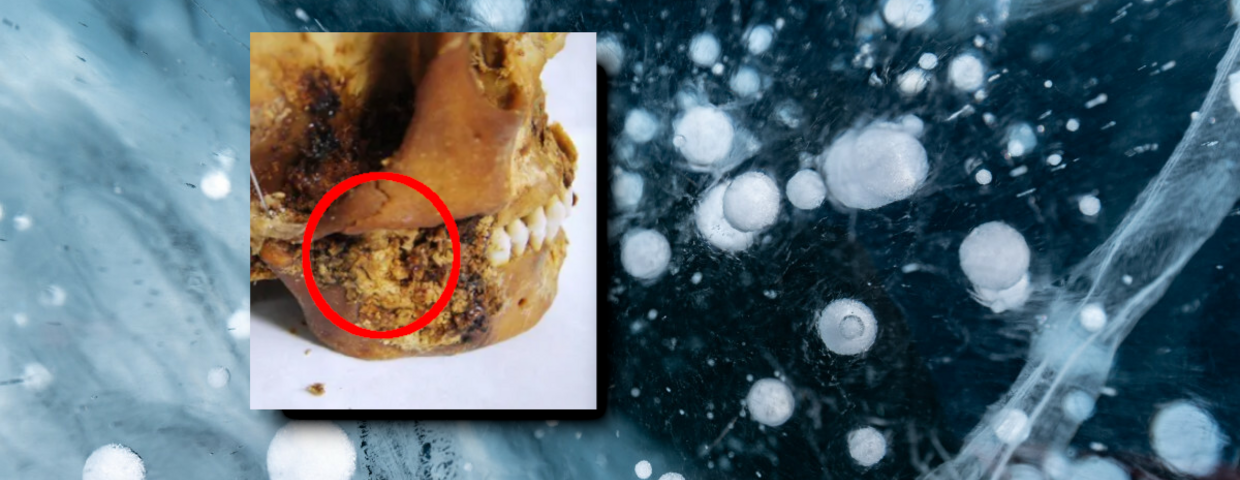 Syberia, przełomowe odkrycie