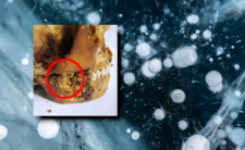 Syberia, przełomowe odkrycie